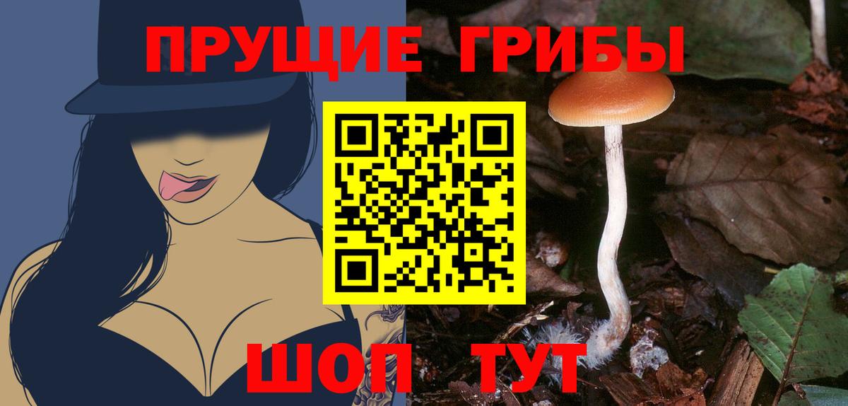 Галлюциногенные грибы прущие грибы Пугачёв